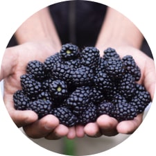 img-vida-freshkampo-07-min